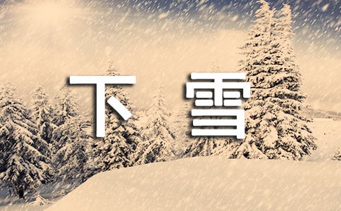 下雪的時候作文集合12篇