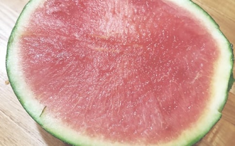 �����T������Ȥ������