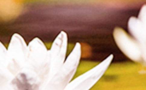 �������İ����̣����x145�䣩