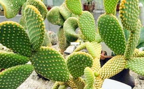 �Ұl(f��)�F(xi��n)�������Ƶ���������600��