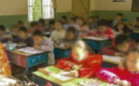 美麗的鄉(xiāng)村小學作文集錦15篇