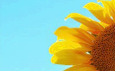 �����տ����ĉ���900��