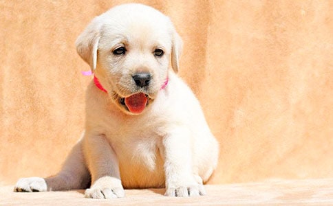 ���h(yu��n)Ҳ�L(zh��ng)�����С������