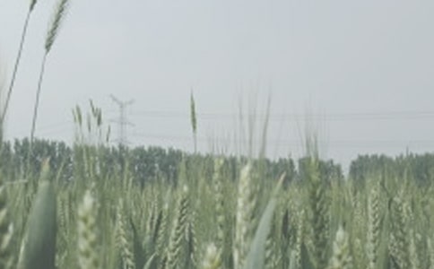 С�������a���Y����ʩ����