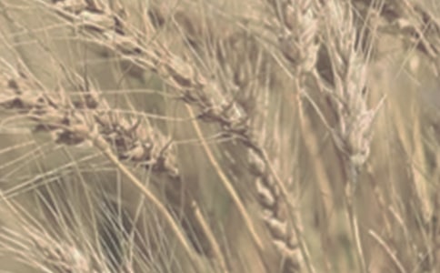 С��ُ(g��u)�N��ͬ��(sh��)��ʽ��