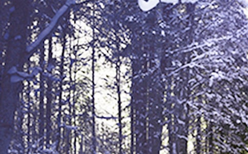 Сѩ��(ji��)����(d��ng)�̰�