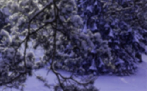小雪到了的簡短祝福語(通用115句)