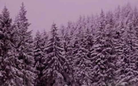 今日小雪祝福語大全