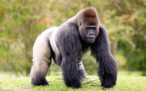 ���ɴ�ĻȞ�(z��i)ͯԒ����