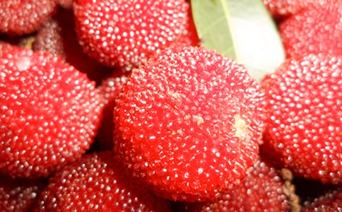 �����T����÷����600����ƪ