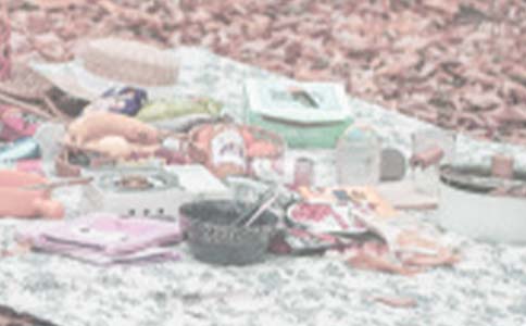 野餐作文400字四篇