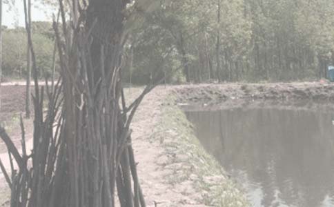 ��Ҏ(gu��)�~���а���ͬ