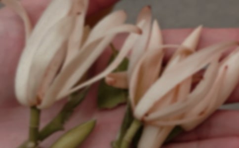 �茑���m�����ģ����x49ƪ��