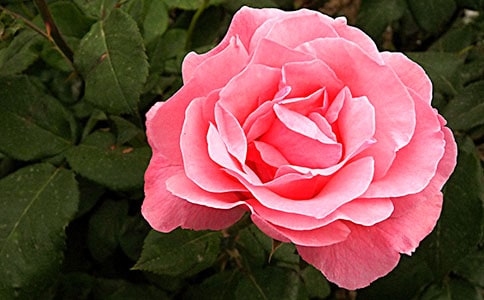 ���»��_�¼��t����