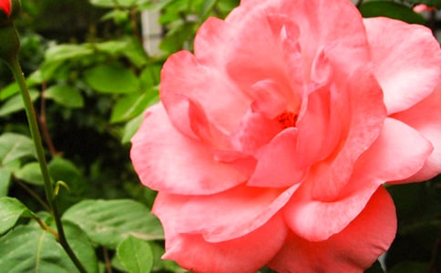 �^���¼������ġ���(j��ng)��13ƪ��