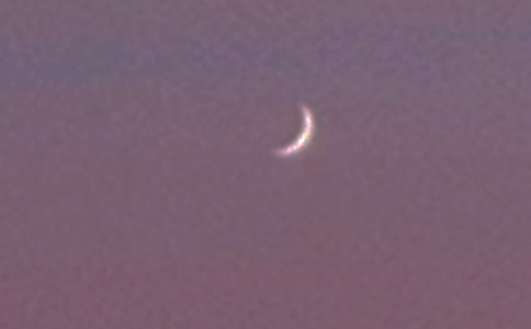 精選月亮作文錦集5篇