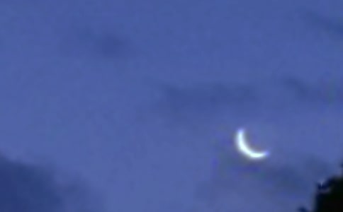 ���P(gu��n)ʮ���������������ƪ