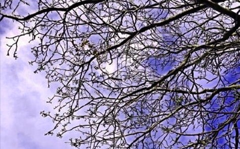 ���������簲�����Z�