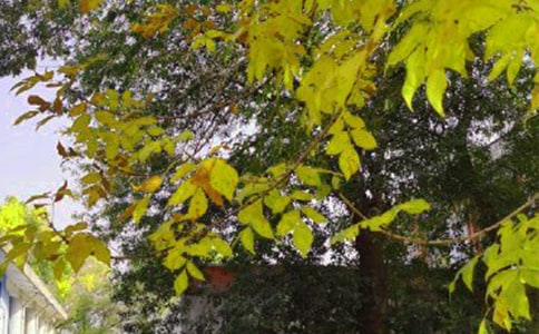 2022�꽛(j��ng)���ů���簲����Ȧ�����Z21�l