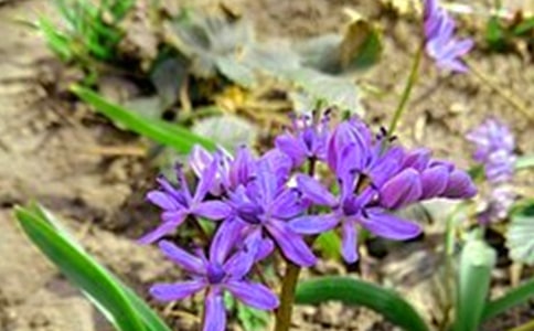 ��(ji��n)�������簲����Ȧ30�侫�x