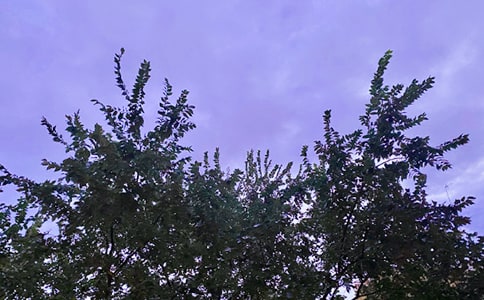 ����(sh��)�á��m�Ͻo���ѵ��簲����Ȧ��(w��n)���Z(y��)�󼯺�51�l