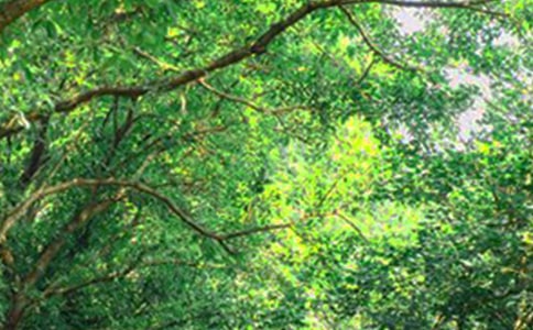 2022��ͨ���簲����Ȧ�����Z�R��36�l