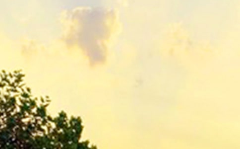 ��(j��ng)��Ψ�����簲����Ȧ�����Z��ϼ�68��