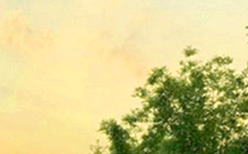 ����������ϵ�簲����Ȧ�����Z57�l