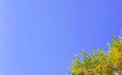 �簲Ψ���İ�