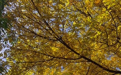 簡短的優(yōu)美的早安心語朋友圈28條