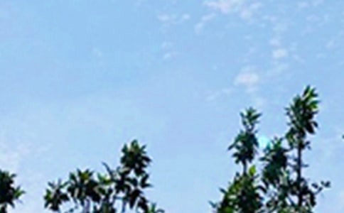 適合早上發(fā)的早安問候語語錄28條