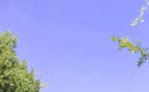 ���̵��m�����ϰl(f��)���簲���Z����Ȧ23�l