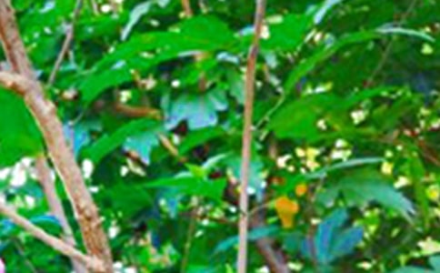 2022�ꌍ(sh��)�õ������簲����Ȧ�����Z(y��)30�l