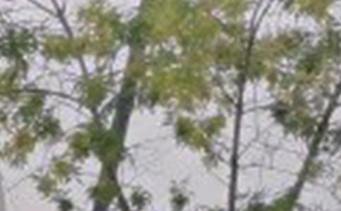 ��(ji��n)�̵�ÿ��һ���簲����Ȧ��(w��n)���Z(y��)29��