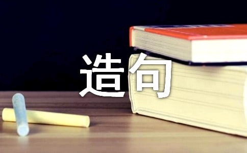關(guān)于是也是造句大全