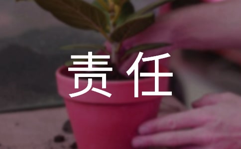 人身安全責(zé)任協(xié)議書