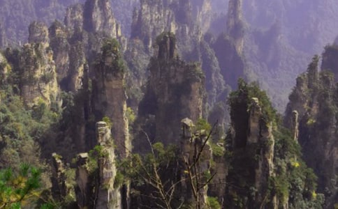 課文《迷人的張家界》教學(xué)設(shè)計(jì)模板