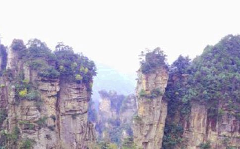 �Ώ��ҽ����ɭ�ֹ��@С�W����500��