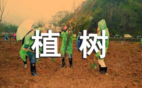 ���҂�?n��i)�ֲ�����?/></p><p>����<strong>���҂�?n��i)�ֲ������ƪ�?/strong></p><p>����������ꖹ������������󋌋�ȥֲ�����������_ʼ�]ͬ�������^���ҵ�ܛĥӲ�����������K�ڴ�(y��ng)�����Ҹ��d��һ�����߸ߡ�</p><p>�����Һ͋���������|������(zh��n)��������͵���ȥ��Ұ��ֲ���ˣ��@���ǡ��f�¾����ֻǷ�|�L(f��ng)���������ڋ���Ҳ��ˬ���ˣ���������܇���������_��܇ȥ��Ұ����һ·�ϣ��G�ⰻȻ���r�����_��һ�΢�L(f��ng)���^���L(f��ng)�ЊA�s���|�|������������Ƣ����������O����</p><p>�������_(d��)Ŀ�ĵ����҂���܇�������P����ˮͰ��С������ͻȻһ��L(f��ng)���^�����ϵ�С���硰�W�W����푣��������f����������ҷN�°�����׌�՚�׃�ø����������f�ɾ͸��������P������һ��(g��)���������ј�����M(j��n)�ѽ�(j��ng)�ںõĿ��Ȼ���������P�Ӱ������������_�ȽY(ji��)��(sh��)�������ĺ�����ˮ���oС���硰��ʡ��������������_ʼ�ڿӣ��ɛ]�P���¸��Xʮ�ֳ������PҲ�P����(d��ng)��ֻ �����ˡ���������Ԟ����ʲô�������^һ����ԭ���P��һ�Kʯ�����������^�pҕ�����������������(du��)�Ƶģ���������С����������߅��߅���@�Kʯ�^�ŵ��﹡�ϡ�����(j��ng)�^�ҵ�һ��Ŭ������N�������Ұ��ҵ�Ը�����������������挑������ϣ����ÿ�ο�ԇ���ܿ����óɿ����ҵ�Ը����N���ˣ�һ�ÿØ�����һ��(g��)��(g��)ʿ��վ�ڍ�λ�ϱ��o(h��)���f����</p><p>�����mȻ�Һ͋����۵ÝM�^�������҂����X�ǳ��_������?y��n)��҂��(y��u)鱣�o(h��)�h(hu��n)������һ������</p><p>����<strong>���҂�?n��i)�ֲ������ƪ�?/strong></p><p>�������쵽�ˣ������(du��)�T���l(f��)����ֲ���̖(h��o)���������@һ��������ӭ������Ĵ��L(f��ng)���~���p����_������ɽ����ȥ��һ·�϶���ʎ�������(du��)�T���ĚgЦ�Z������֪��ֲ�����S���S��ĺ�̎�����Ժ��_�Ğ��������һƬ�¾G��</p><p>������ѩ�����׿�С�������졤�������P�ӣ�ؓ(f��)؟(z��)�ژ��������������������ˮͰ������߅�ă�λ�����(du��)�T���f�fЦЦ������ֲ��ĵط�����ѩ�����˴�Ҹ��Ե��΄�(w��)�����_ʼֲ����(d��ng)�����졤���ȷ��˺Îױ������ڳ��ˎׂ�(g��)�����Ȼ�����ѩ�����Á�С�����������ӵײ��У��ٰф����ڳ�������������������С��Ū�����ε���һꇴ��L(f��ng)�������������mȻ�졤���۵ĝM�^�����������X�����������I(xi��n)�ˡ��Gɫ���S�����M�M��ϲ��ӿ�����^��������С��ĸ���������ˮͰ�ж���֮һ��ˮ��С����ͻȻ�������������ׂ�(g��)С�Gѿ�Ę�֦�ϸZ�˳����������ڸ��V�҂��������Ҫ�������أ�</p><p>������λ�����(du��)�T���е����Ժ���������Ƭ��ɭ�����������^һ�ϲ����������</p>
<div   id=