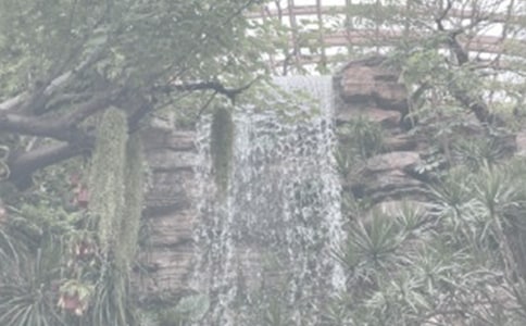 家鄉(xiāng)的植物園作文通用12篇