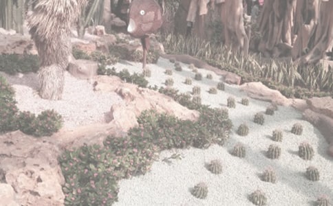 蘭州植物園游記散文