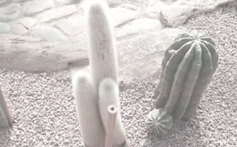 �V���A��ֲ��@��ӛ