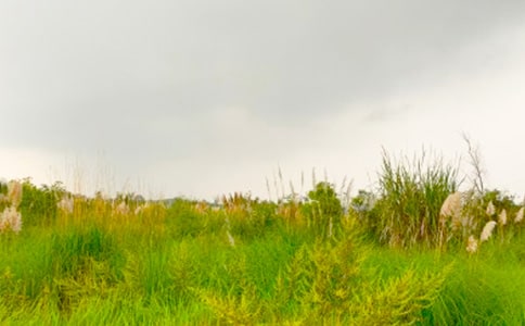 ���M(j��n)���C�Ĵ�������15ƪ