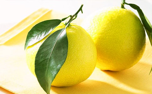 介紹柚子作文錦集八篇