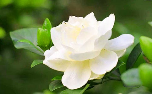 �d�ӻ��_�ļ���(ji��)����(8ƪ)