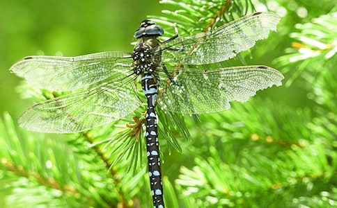 �Ƿ���������x��