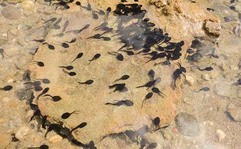 �n��С����ҋ����̌W�O(sh��)Ӌ