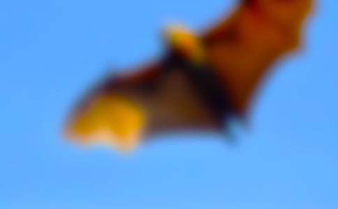 �������c���_���̌W�OӋ