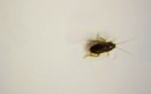 �ҵ����ְ֑Y���꼉(j��)����